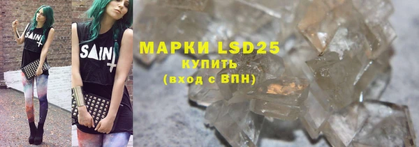 ПСИЛОЦИБИНОВЫЕ ГРИБЫ Лихославль