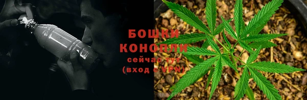 ПСИЛОЦИБИНОВЫЕ ГРИБЫ Лихославль