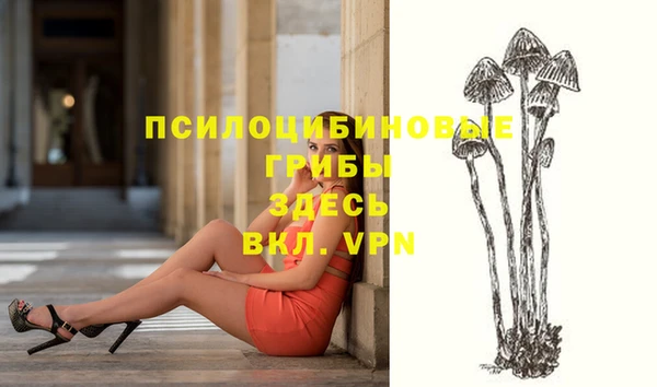 ПСИЛОЦИБИНОВЫЕ ГРИБЫ Лихославль