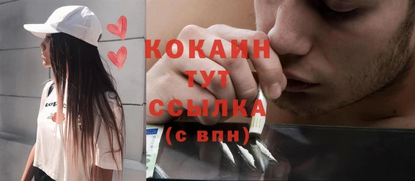 ПСИЛОЦИБИНОВЫЕ ГРИБЫ Лихославль