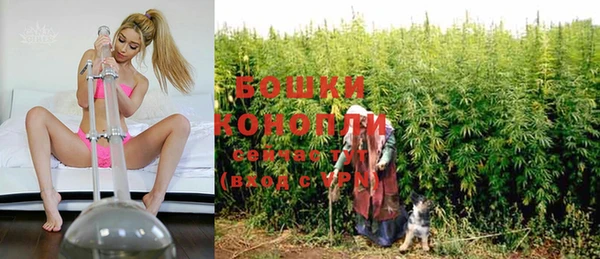 ПСИЛОЦИБИНОВЫЕ ГРИБЫ Лихославль