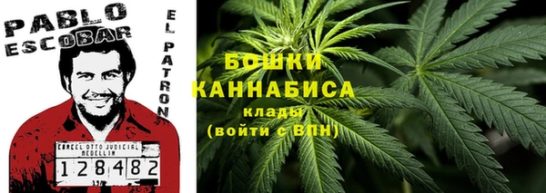 ПСИЛОЦИБИНОВЫЕ ГРИБЫ Лихославль