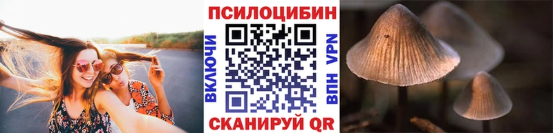 Псилоцибиновые грибы ЛСД  наркота  мега сайт  Медвежьегорск 